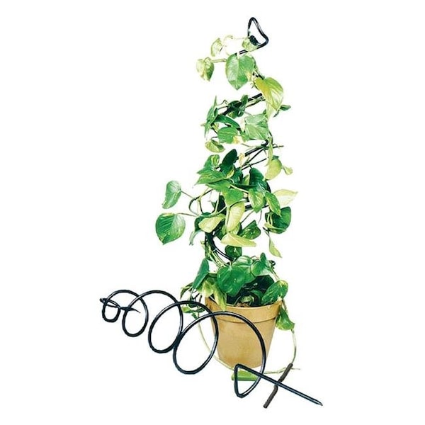 Book Publishing Co 42"H X 8"D Spiral Trellis Elegant Spiral Support for Plant to Grow Around GR31860 - main